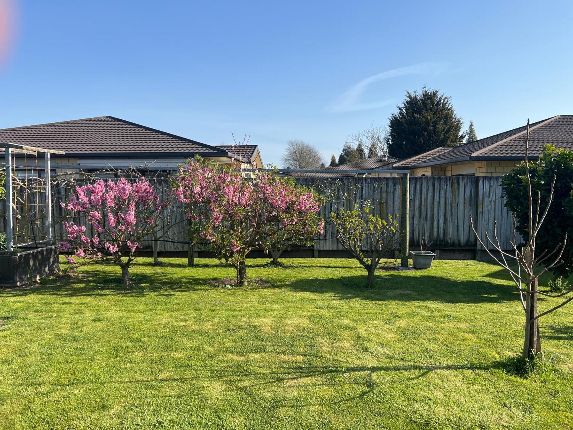 Matamata Villa Exterior photo